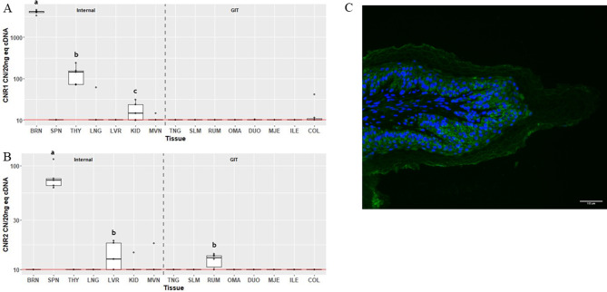PMC11494806 – Fig2