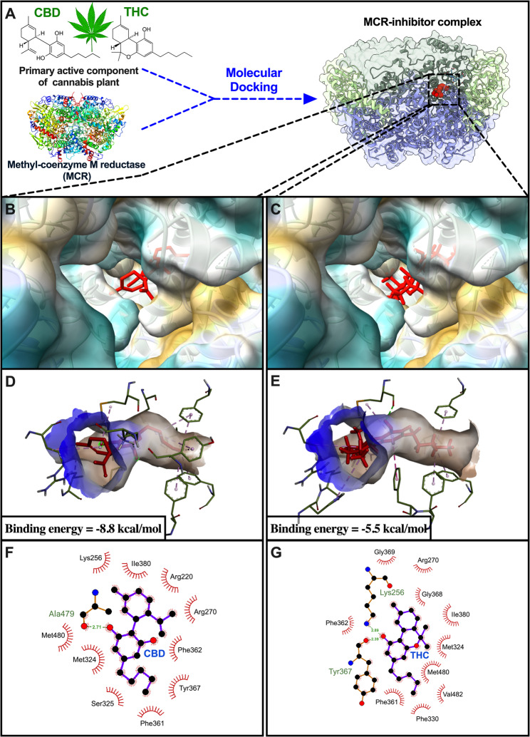 PMC12522255 – Fig2