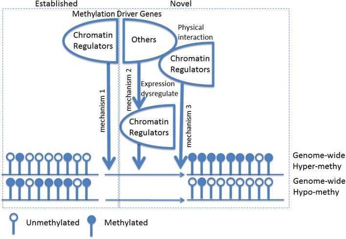 PMC6218985 – Fig4