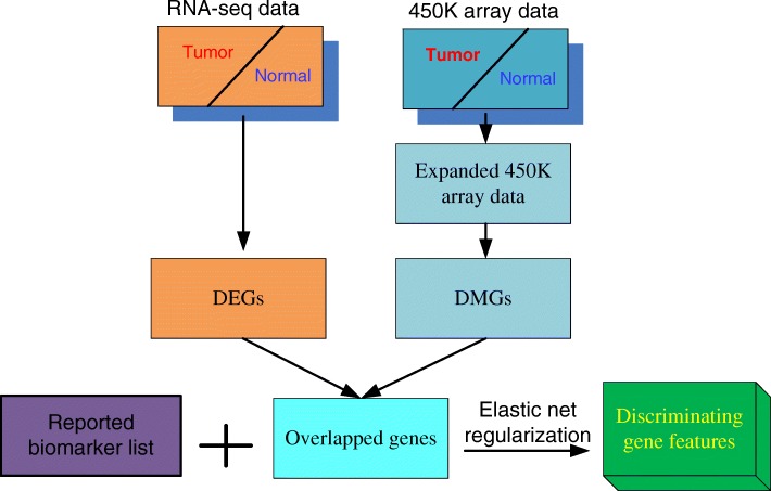 PMC6357346 – Fig1