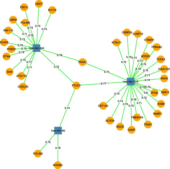PMC6683425 – Fig15
