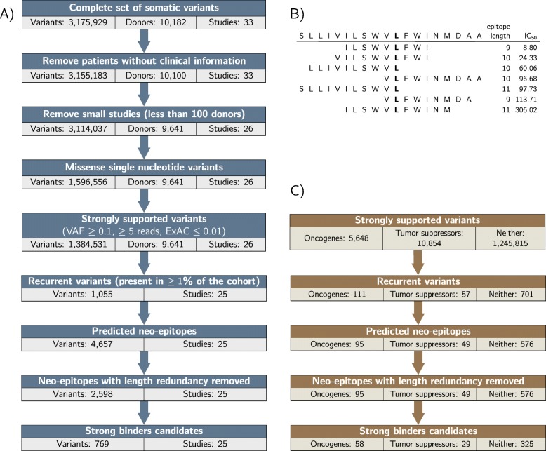 PMC6882202 – Fig1