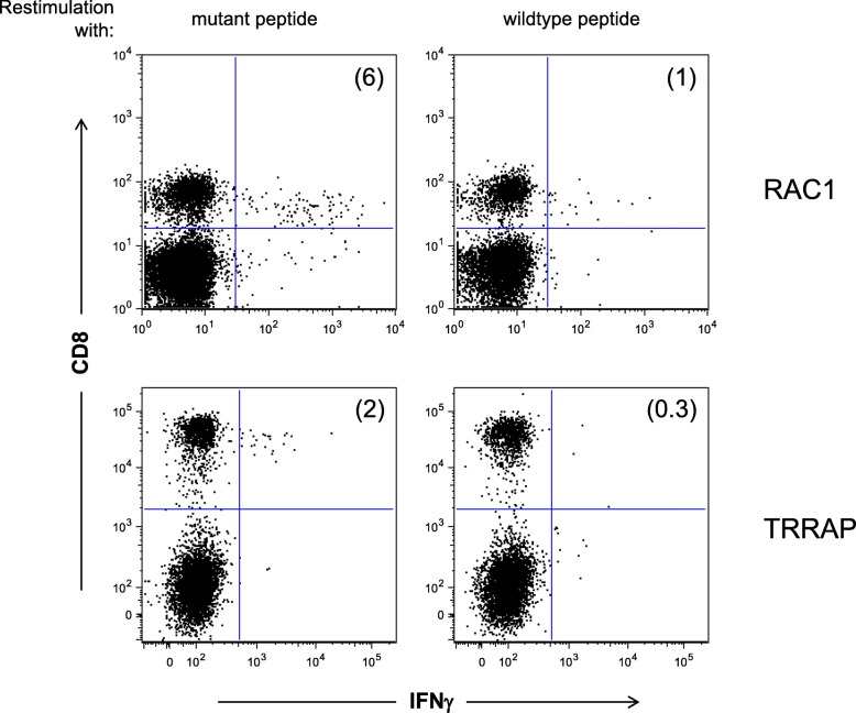 PMC6882202 – Fig4