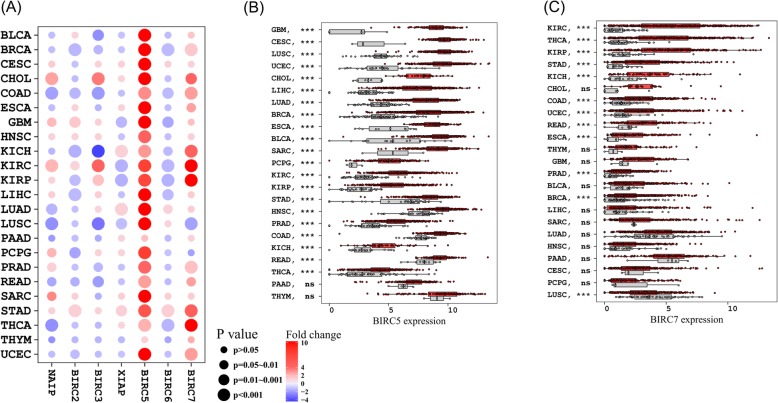 PMC6975060 – Fig4