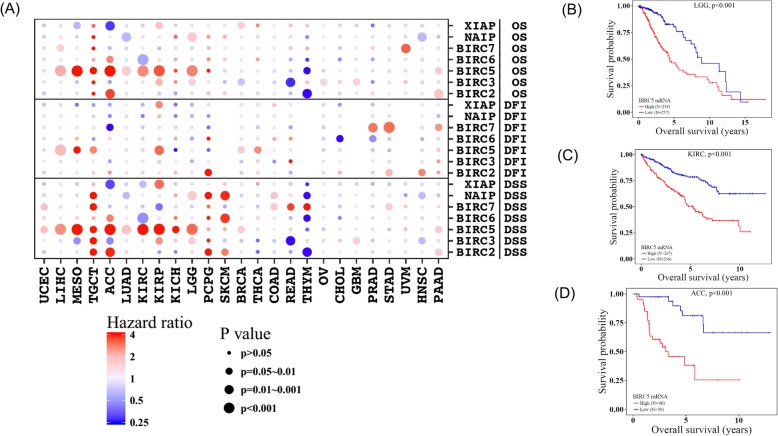 PMC6975060 – Fig5