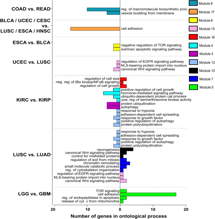 PMC7678100 – Fig10