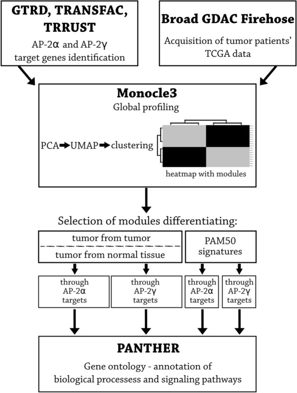 PMC7678100 – Fig1