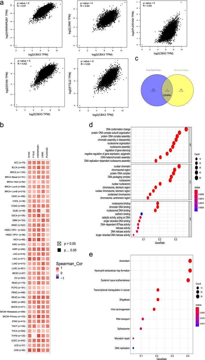 PMC8851738 – Fig10