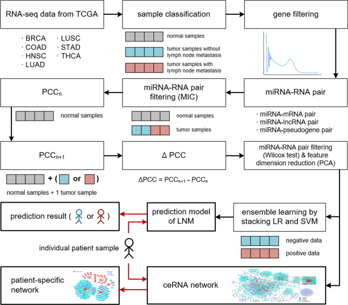 PMC9014599 – Fig1