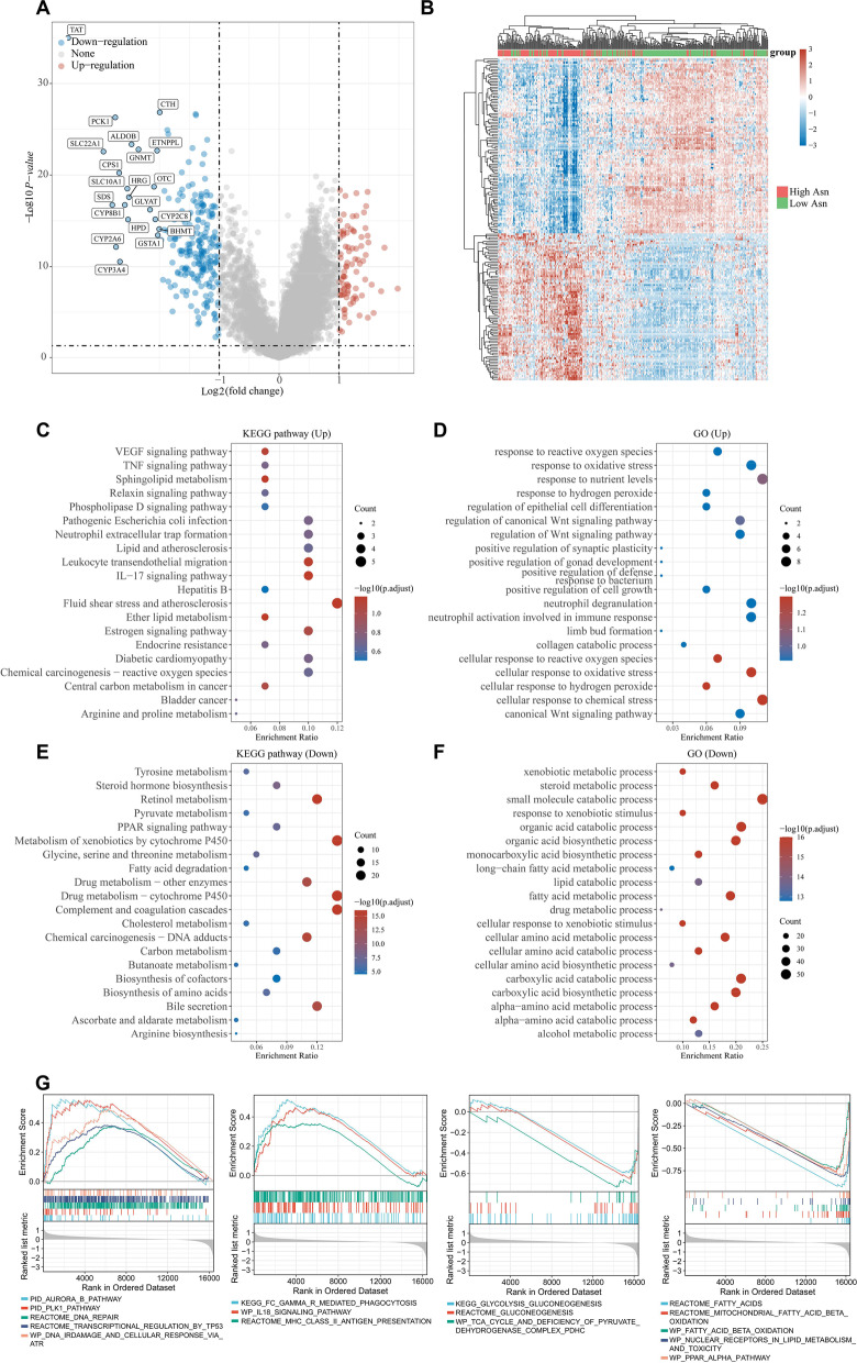 PMC9594908 – Fig2