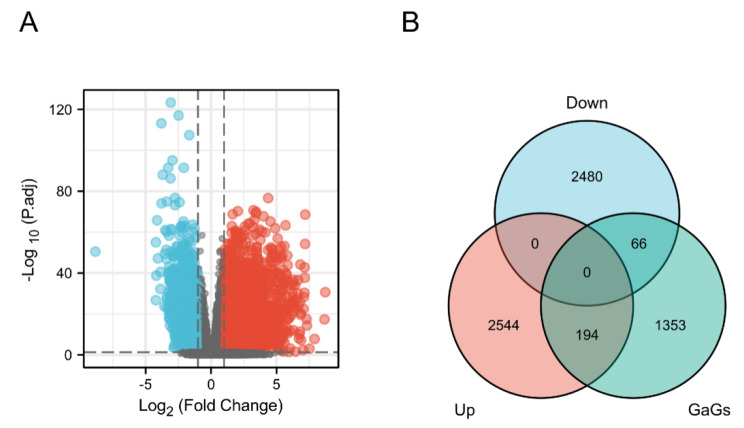 PMC10041766 – Fig2