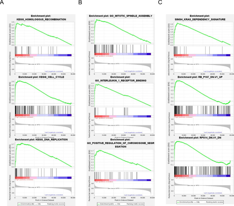 PMC10041766 – Fig7