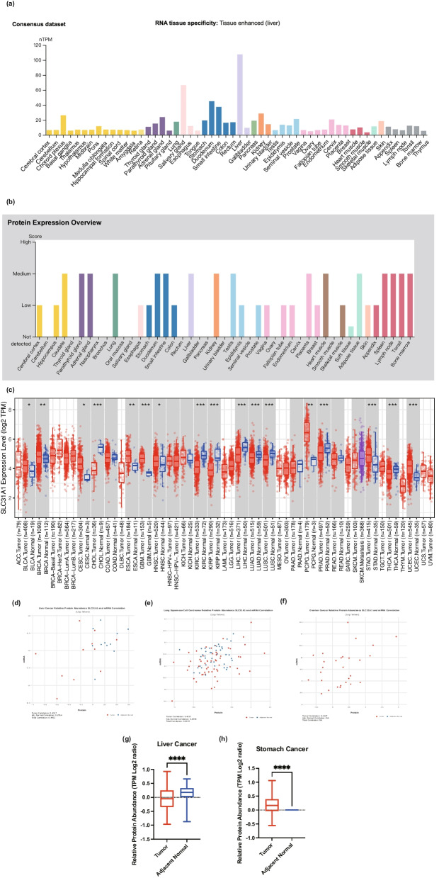 PMC10041742 – Fig1