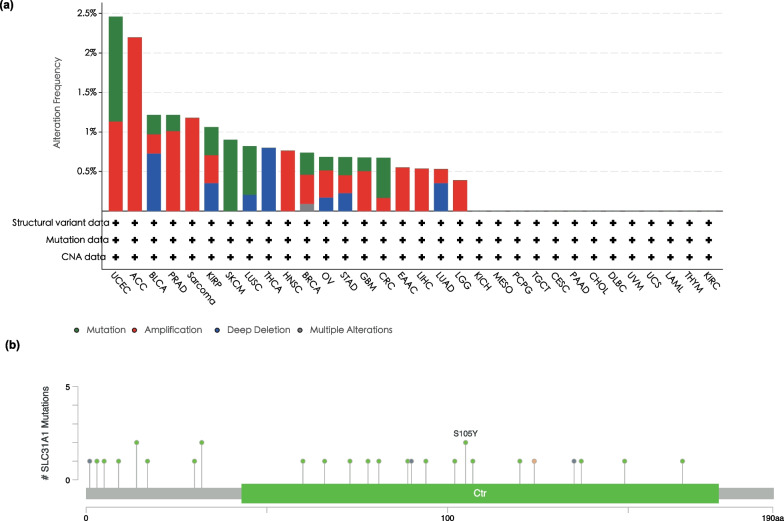 PMC10041742 – Fig4