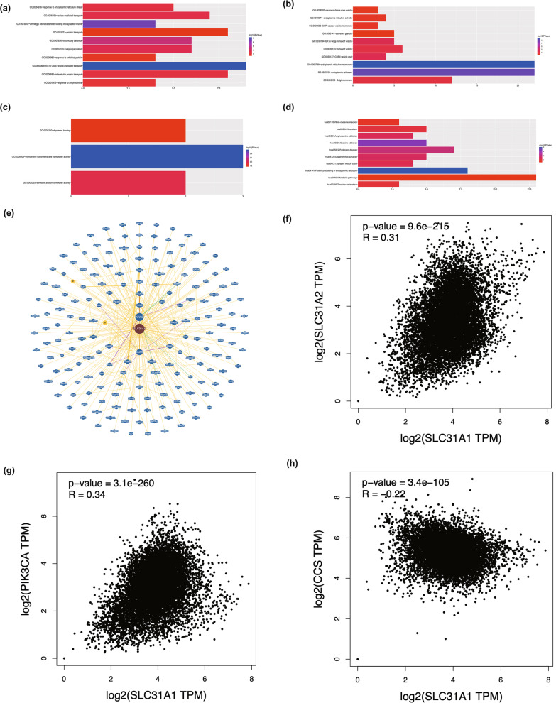 PMC10041742 – Fig6