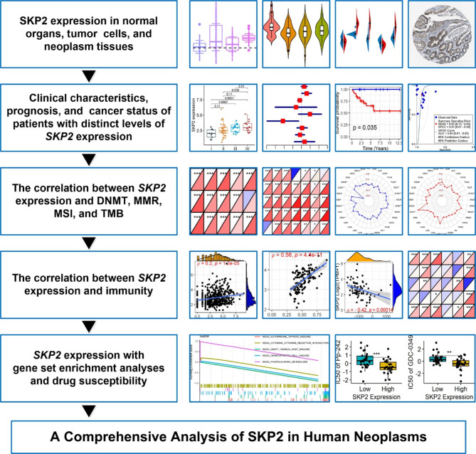 PMC10259050 – Fig1