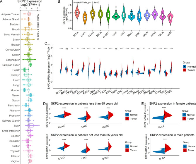 PMC10259050 – Fig2