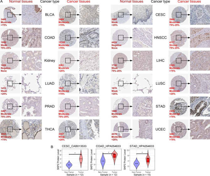 PMC10259050 – Fig3