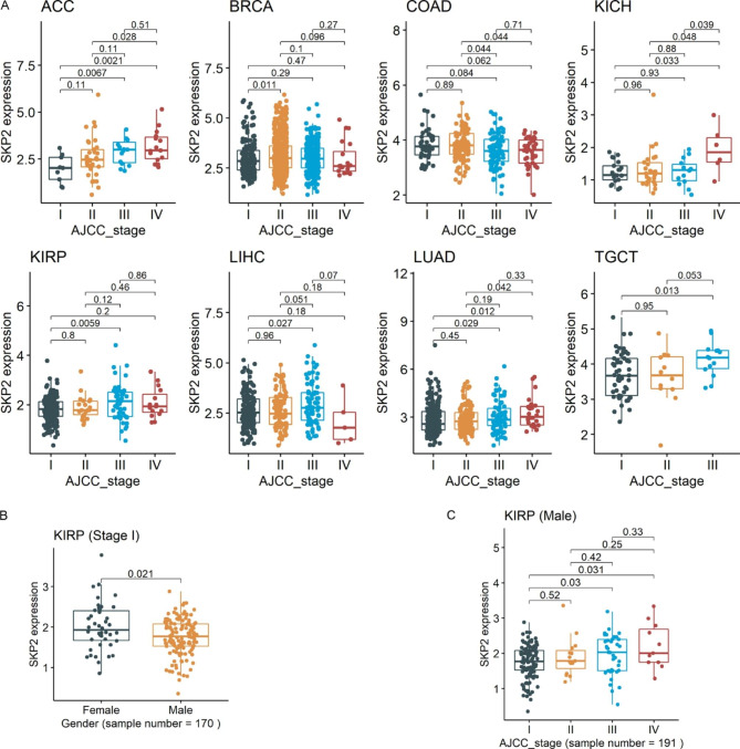 PMC10259050 – Fig4