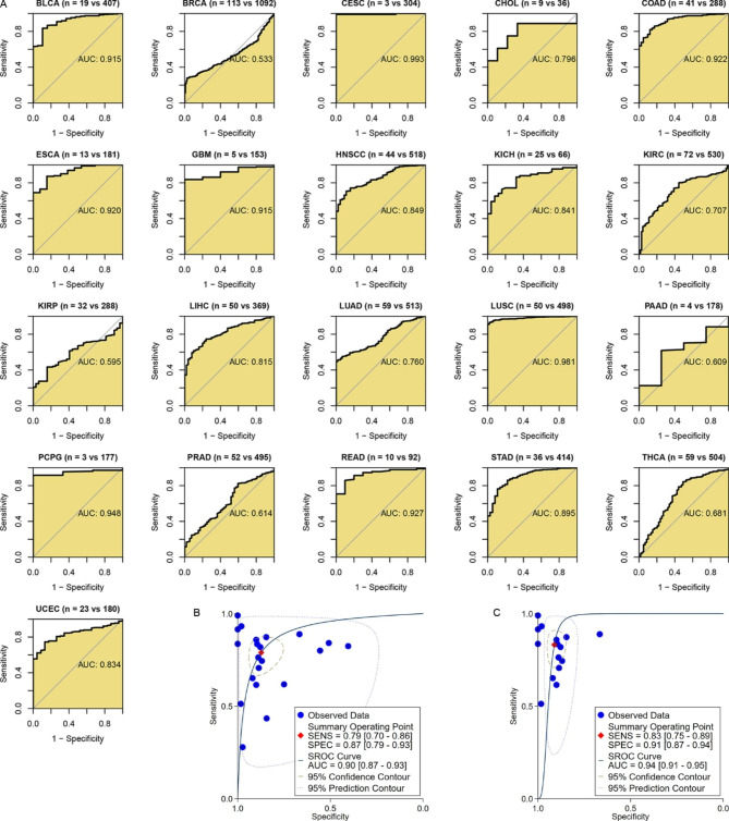 PMC10259050 – Fig7