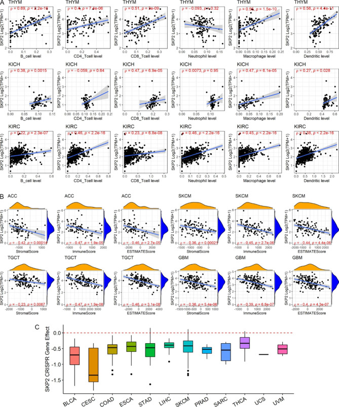 PMC10259050 – Fig9
