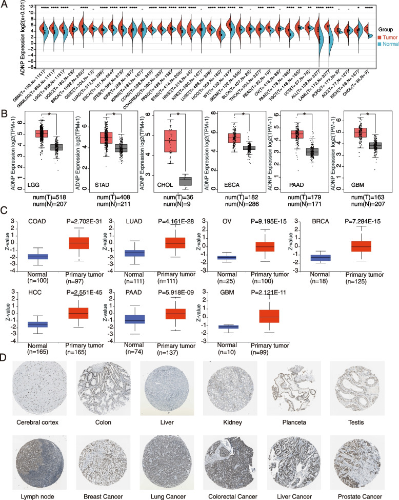 PMC10391866 – Fig1