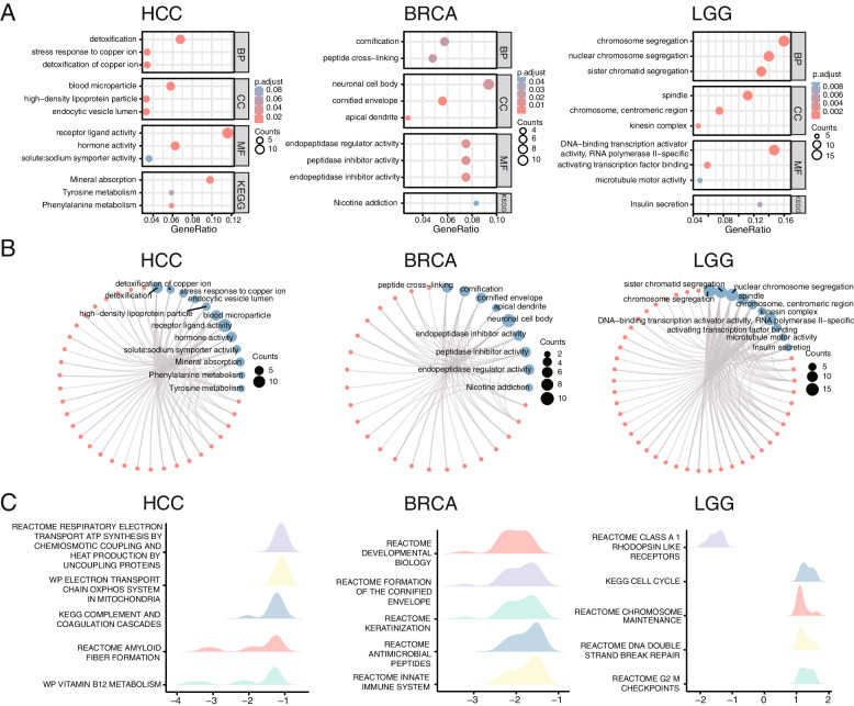 PMC10391866 – Fig4