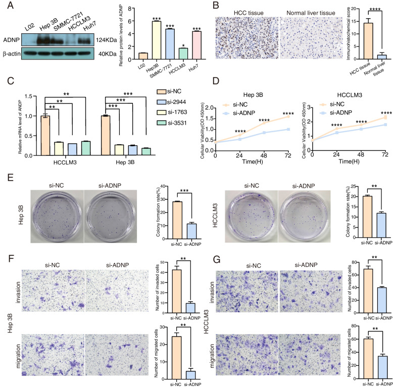 PMC10391866 – Fig7