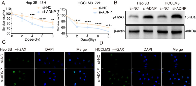 PMC10391866 – Fig8