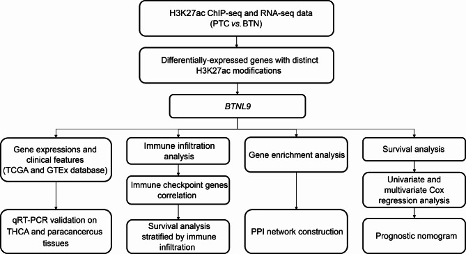PMC10552425 – Fig1
