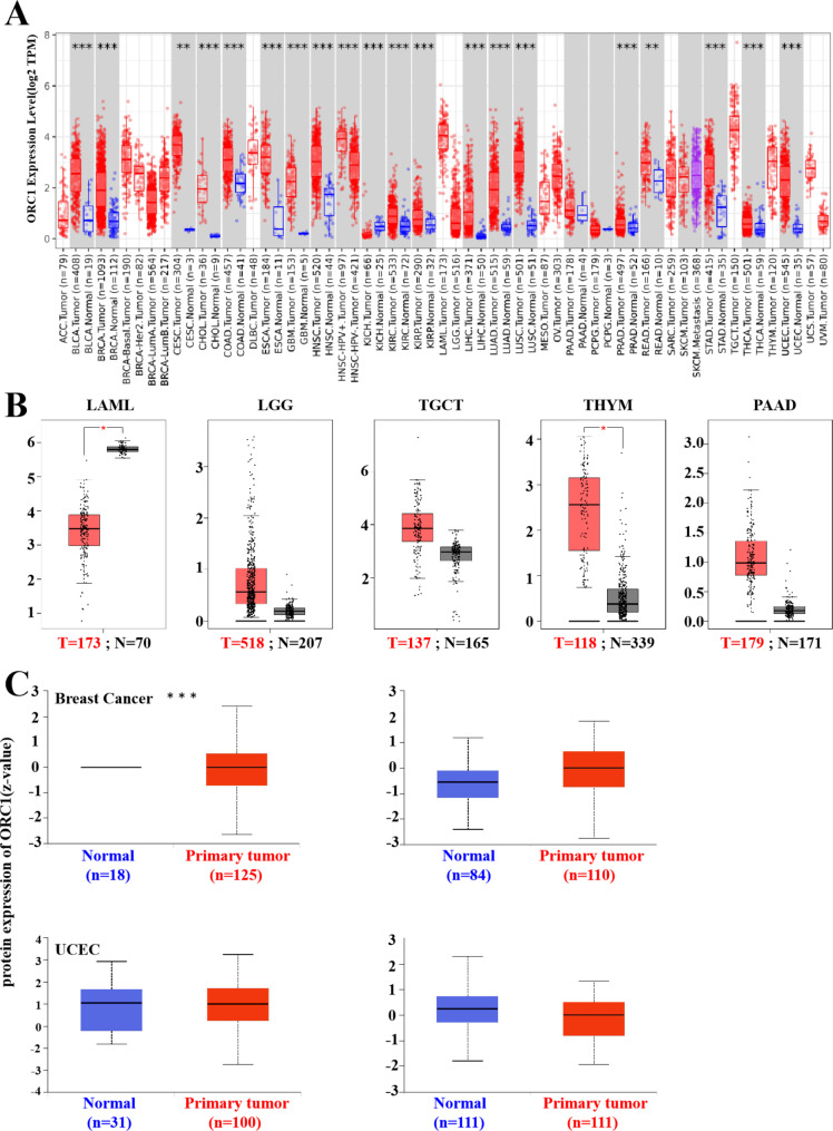 PMC10571394 – Fig1