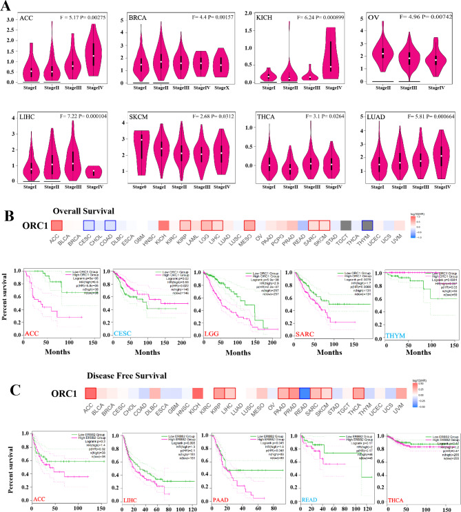 PMC10571394 – Fig2