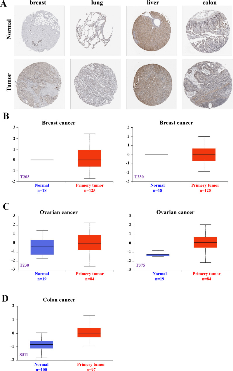 PMC10571394 – Fig4