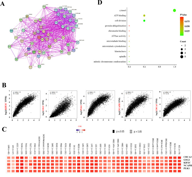 PMC10571394 – Fig6
