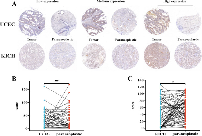 PMC10571394 – Fig7