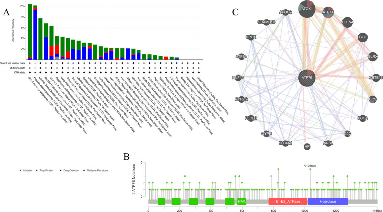 PMC10687837 – Fig11