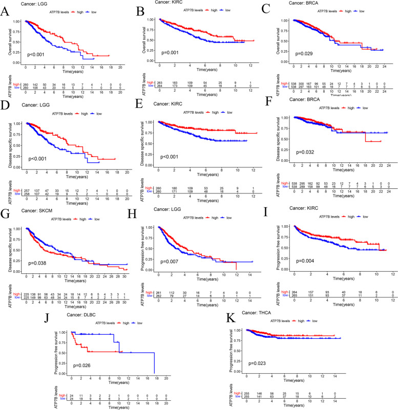 PMC10687837 – Fig13