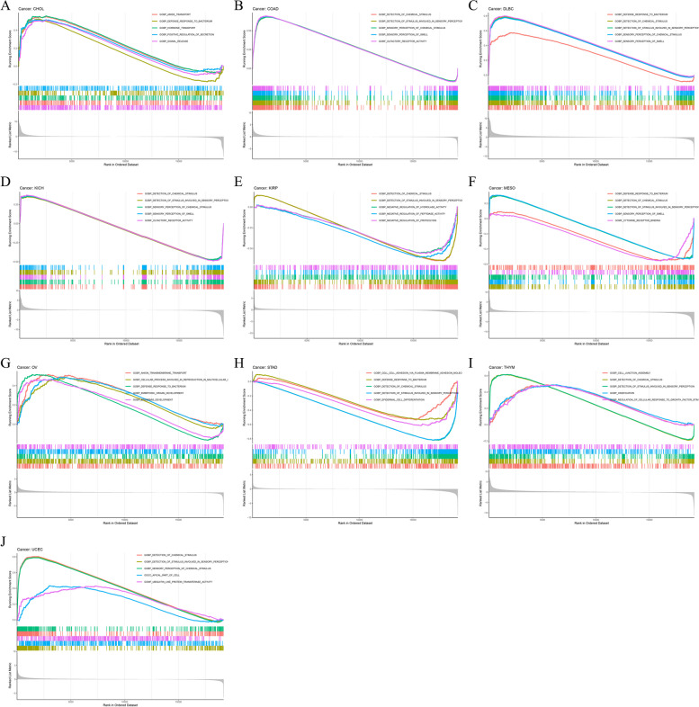 PMC10687837 – Fig14