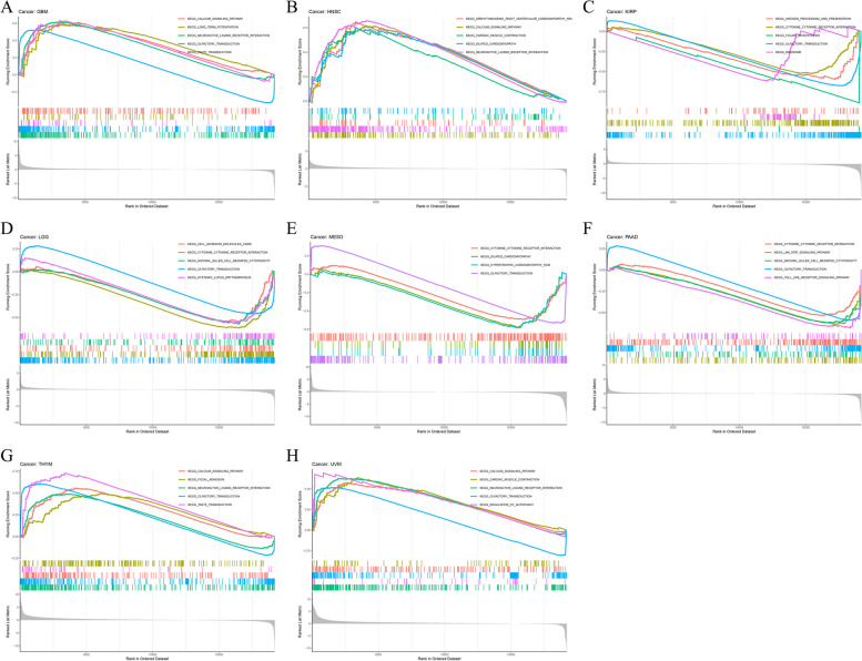 PMC10687837 – Fig15