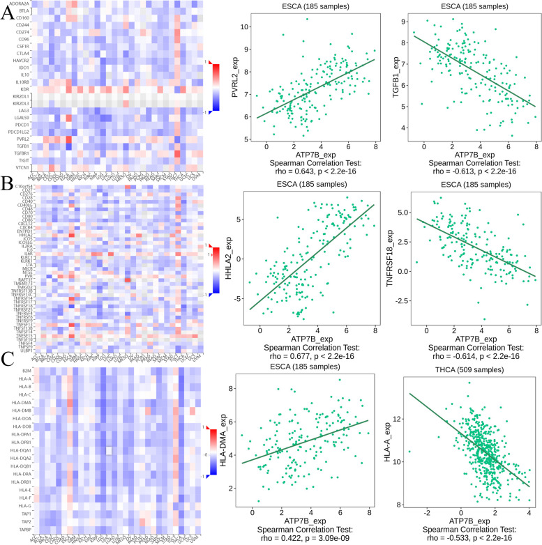 PMC10687837 – Fig17