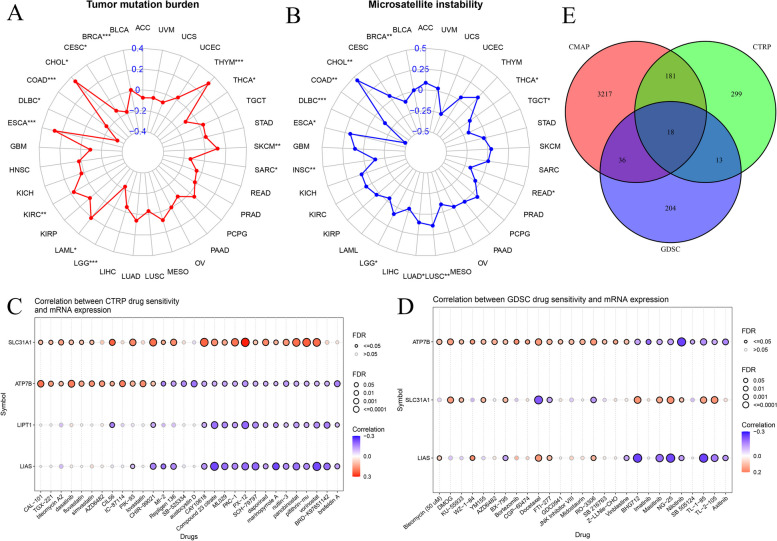 PMC10687837 – Fig18