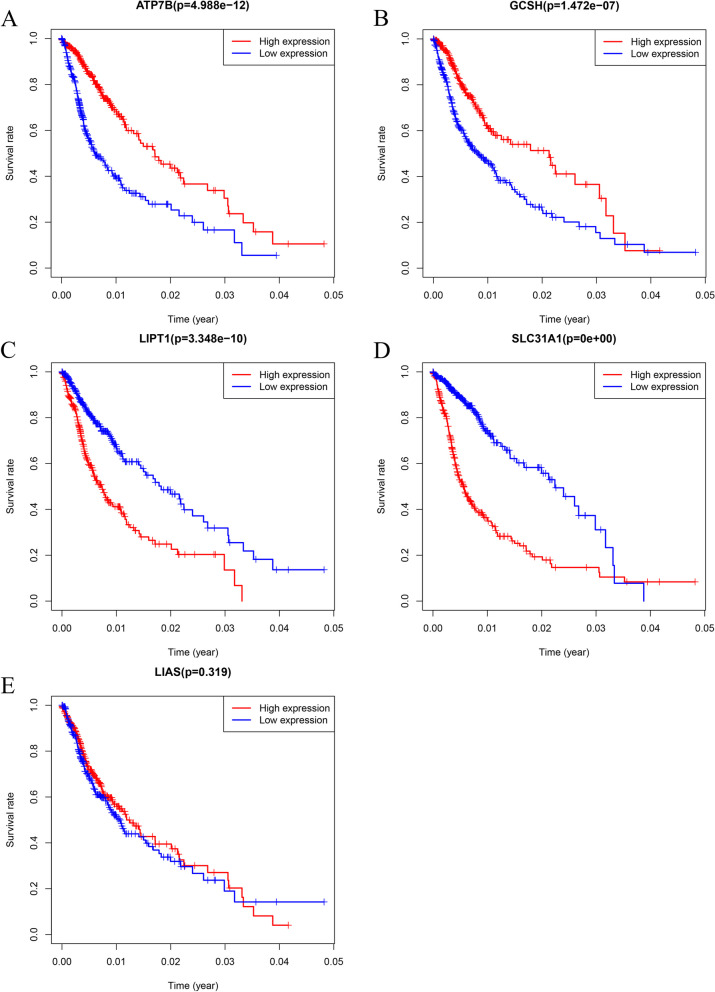 PMC10687837 – Fig4