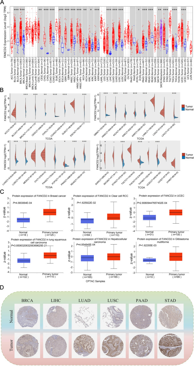 PMC10916239 – Fig1