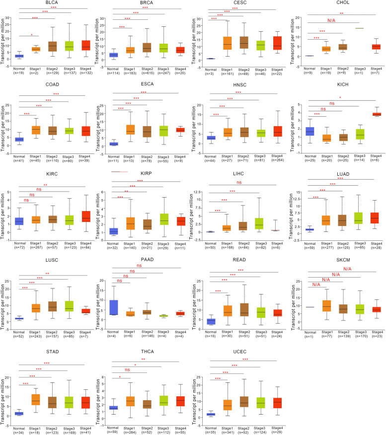 PMC10916239 – Fig2