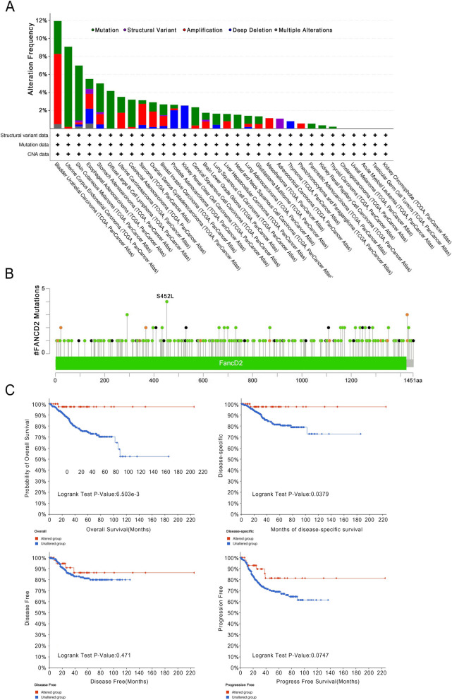 PMC10916239 – Fig6