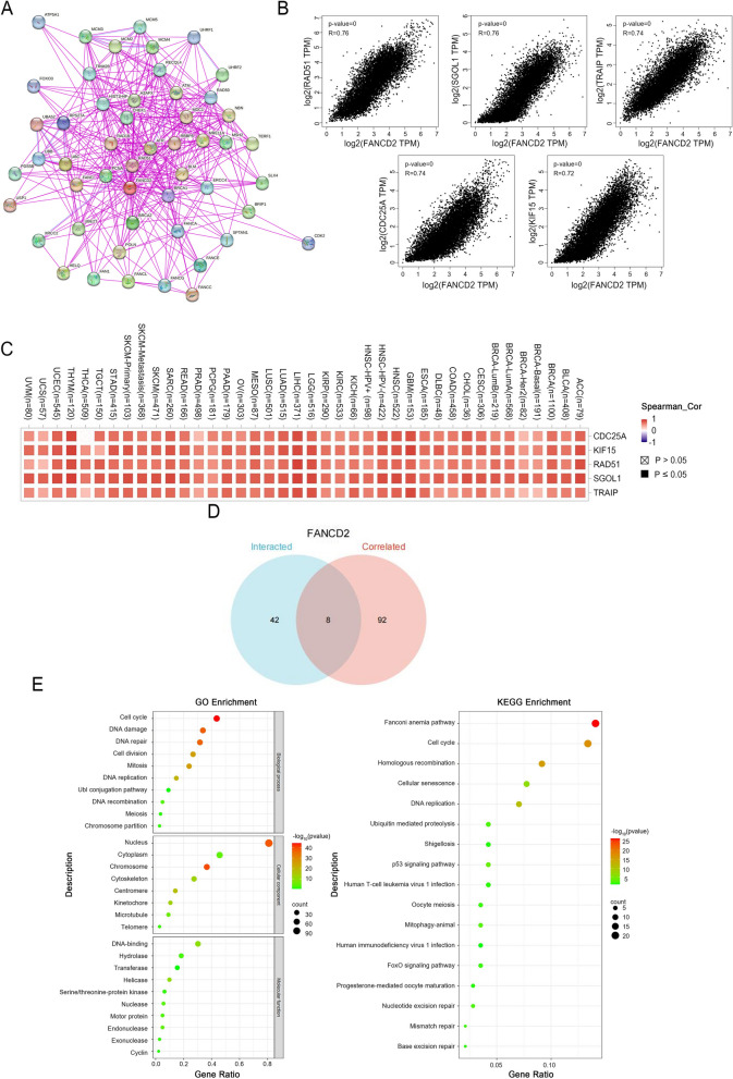 PMC10916239 – Fig7