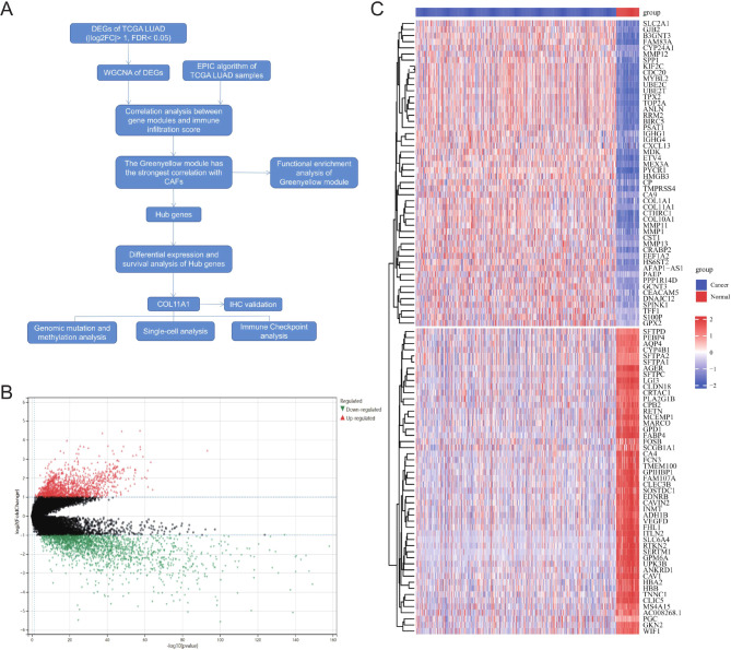 PMC11036680 – Fig1