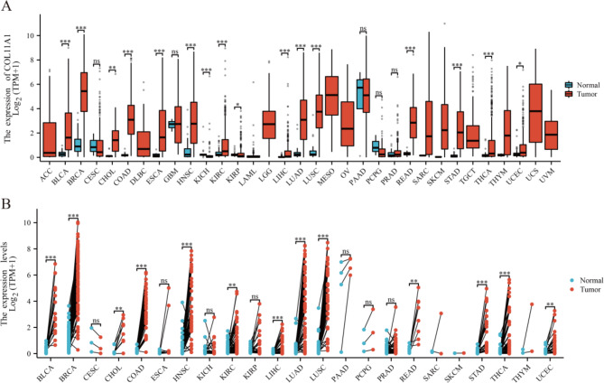 PMC11036680 – Fig6