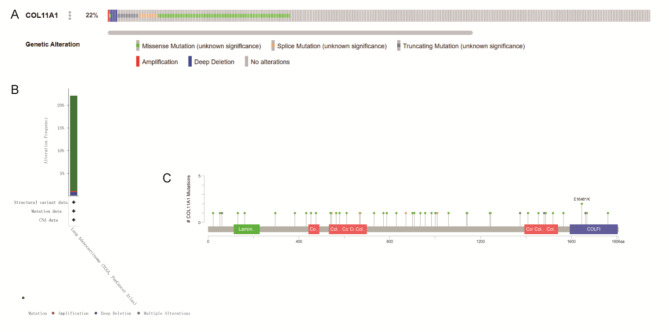 PMC11036680 – Fig7