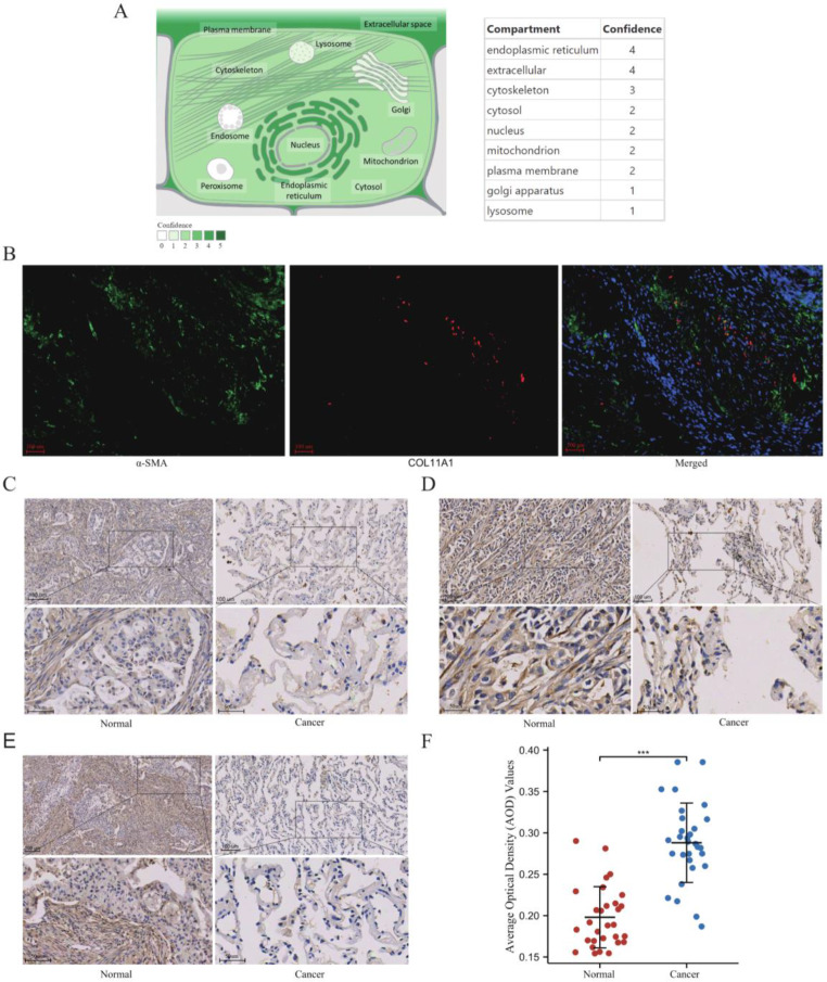 PMC11036680 – Fig9